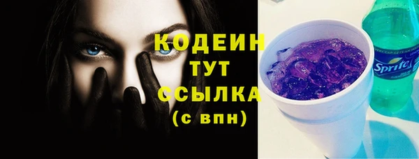 прущий лед Нея
