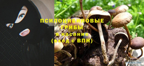 марки nbome Нефтекумск