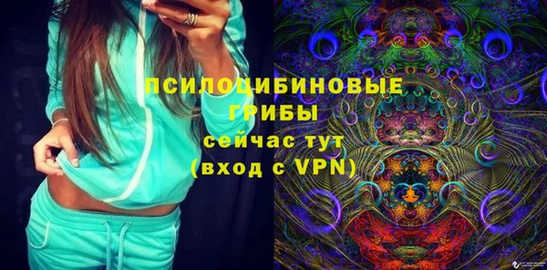 прущий лед Нея