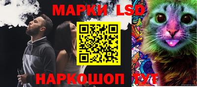 индика Беслан