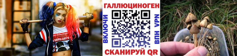 наркошоп  Изобильный  Псилоцибиновые грибы прущие грибы 