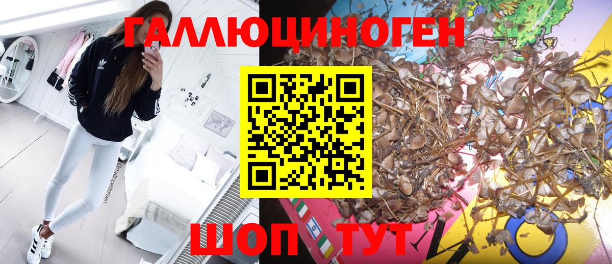 Галлюциногенные грибы Psilocybine cubensis  Вход с VPN  Галлюциногенные грибы ЛСД  Изобильный 